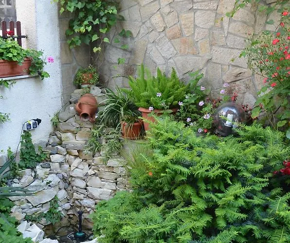 Луксозна вила Rosi *