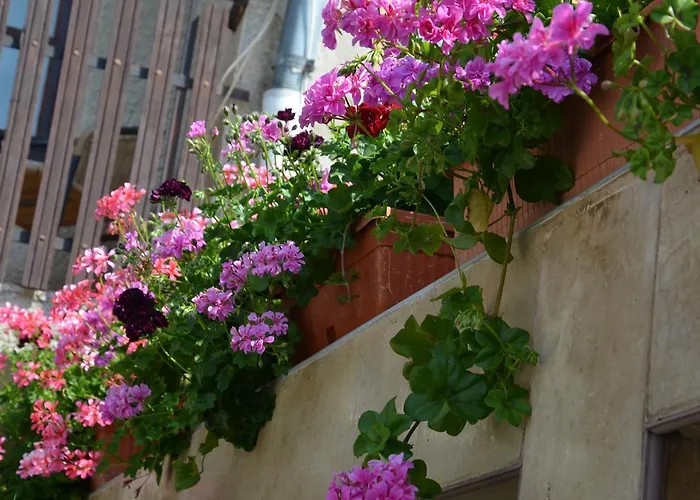 Луксозна вила Rosi Созопол