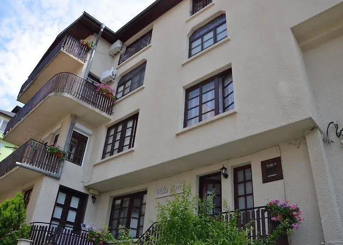 Луксозна вила Rosi *